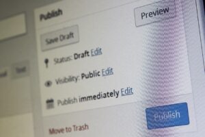 Custom Post Status in WordPress