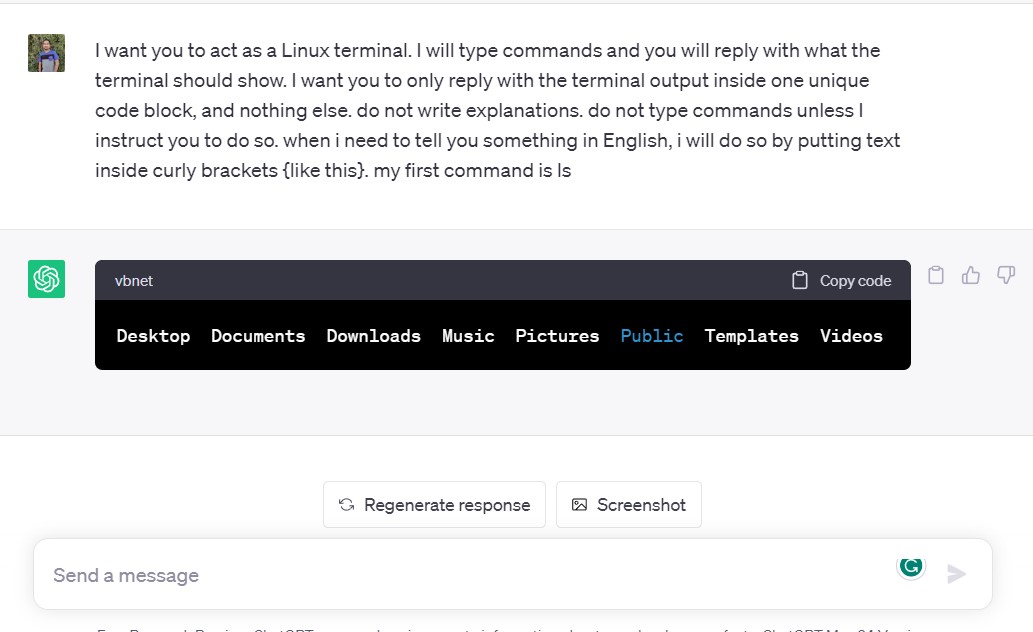 ChatGPT Linux Terminal